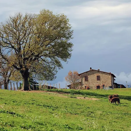 Holiday Podere Torricella Annesso *